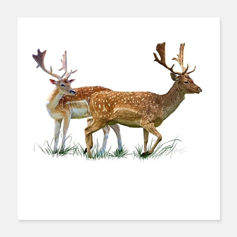 cerf Poster 40 x 40 cm