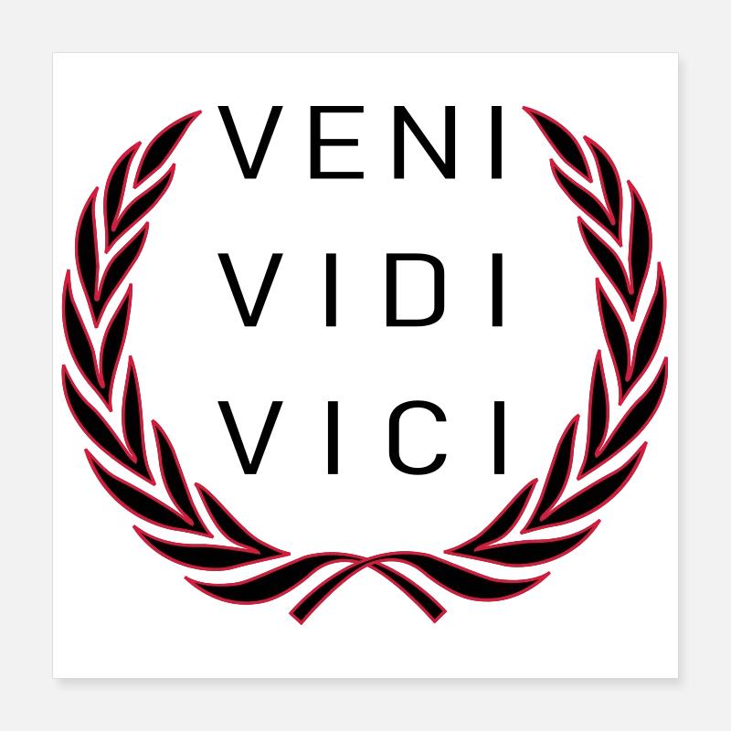 Veni Vidi Vici Poster 40 x 40 cm