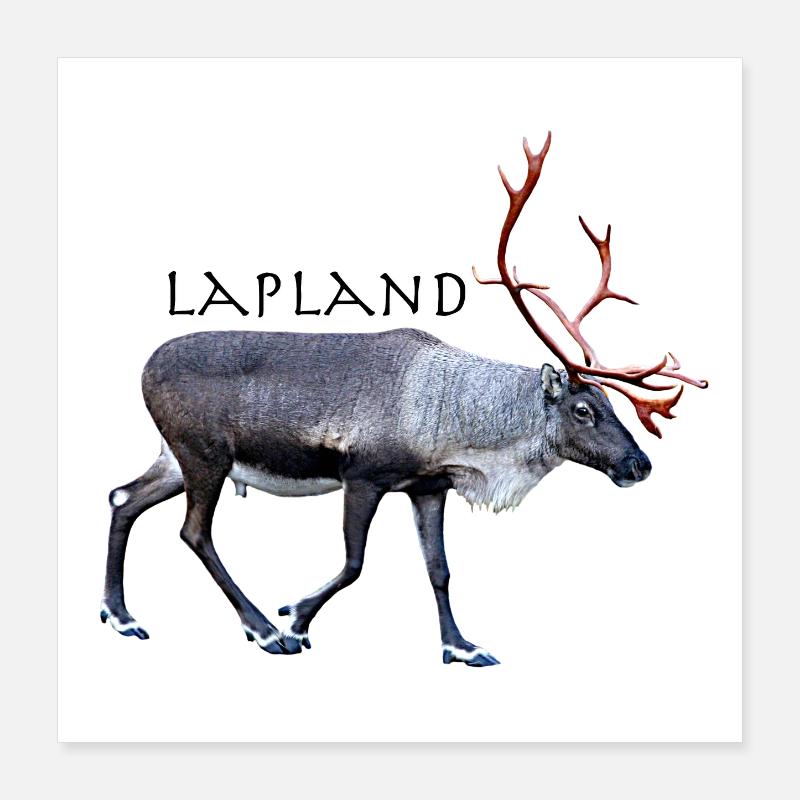 Laponie Poster 40 x 40 cm
