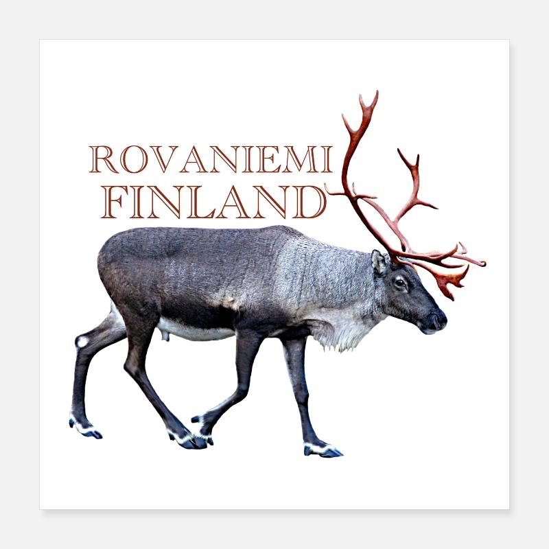 Rovaniemi Poster 40x40 cm