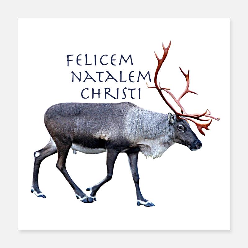 Felisem Natalem Christi Poster 40x40 cm