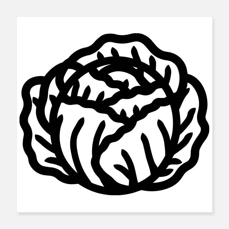 cabbage Poster 16" x 16" (40x40 cm)