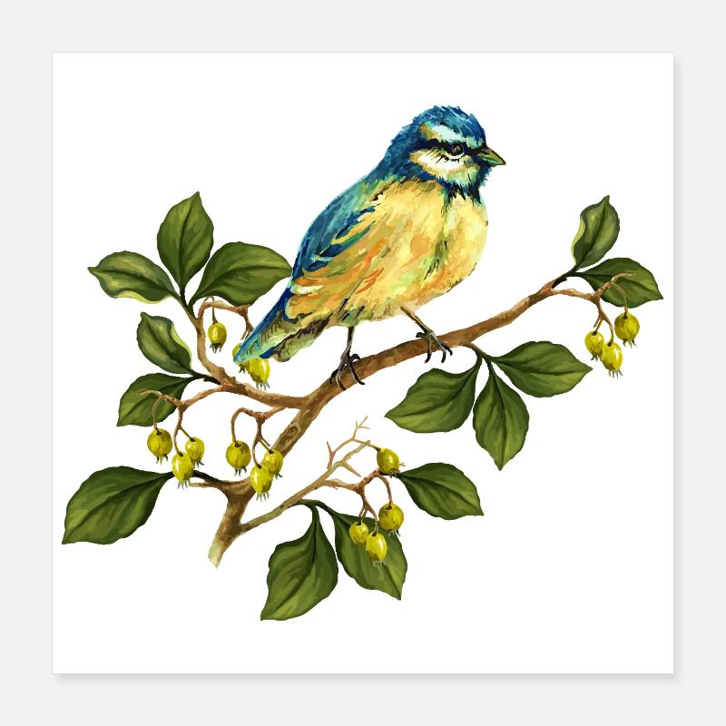 Bunter Vogel Poster 40x40 cm