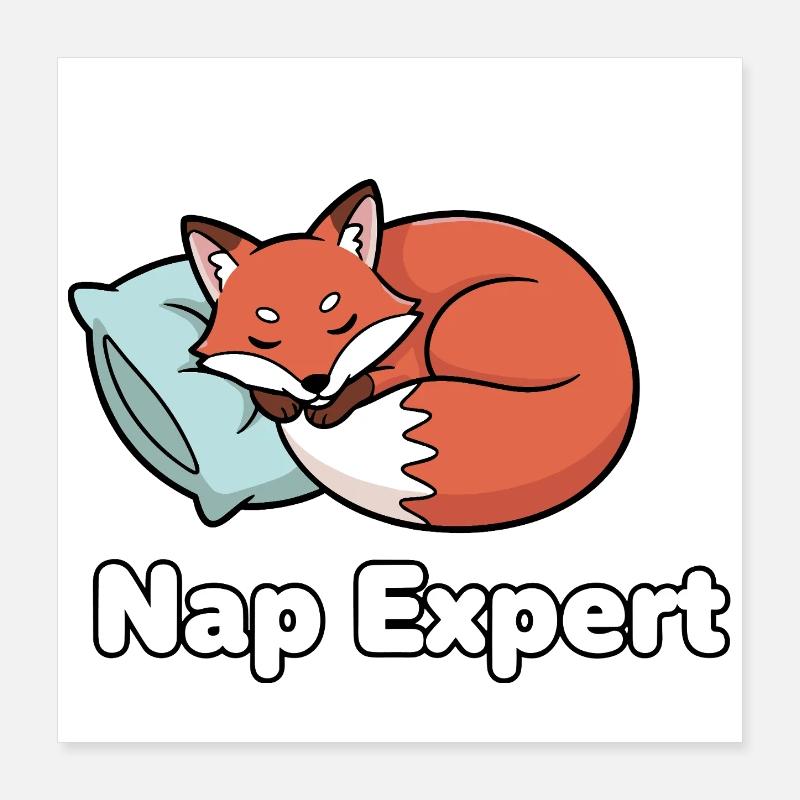Expert en sieste Fuchs Poster 40 x 40 cm