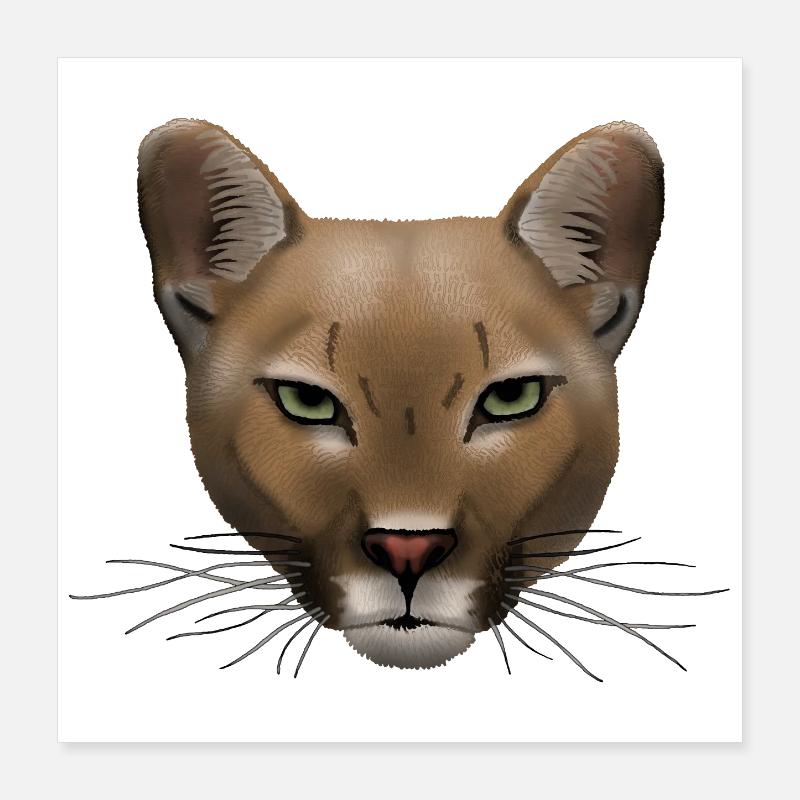 Cougar R6Z Poster 40 x 40 cm