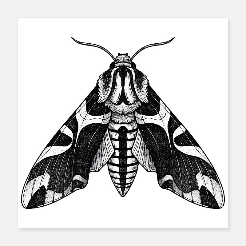 Motif d’ombre de papillon de nuit Papuin noir Poster 40 x 40 cm