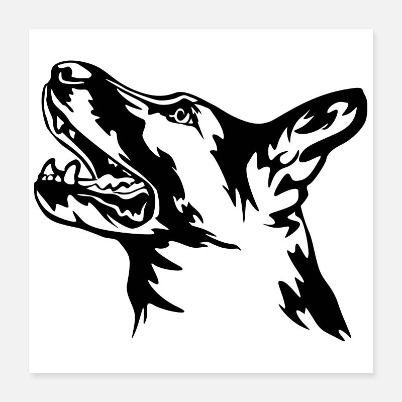 Deutscher Schäferhund Kopf Poster 40x40 cm