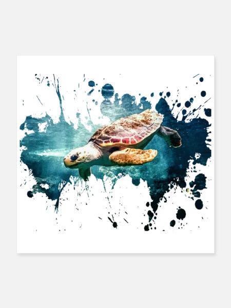 Petcontest Schildkröte - Poster 40x40 cm - Weiß - Vorne