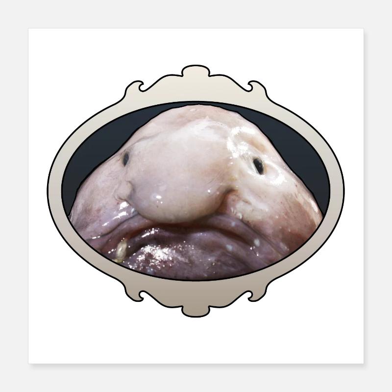 Laid blobfish, laid, Mr Blob Poster 40 x 40 cm