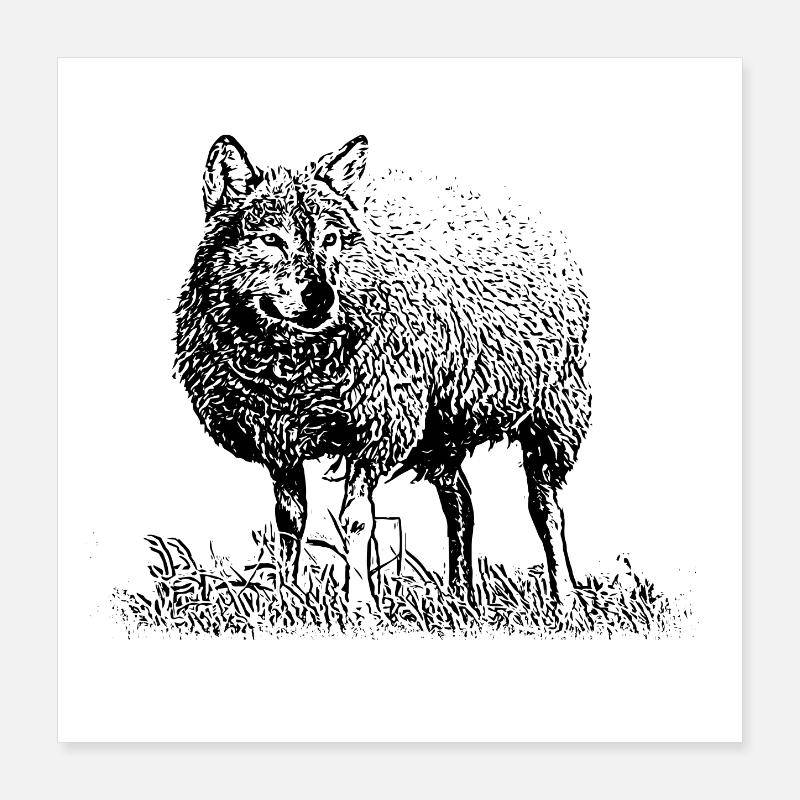 Wolf im Schafspelz Poster 40x40 cm