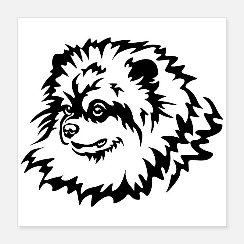 Tête de Spitz miniature Poster 40 x 40 cm