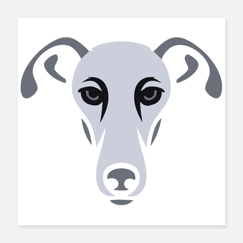 Windhund, Galgo Poster 40x40 cm