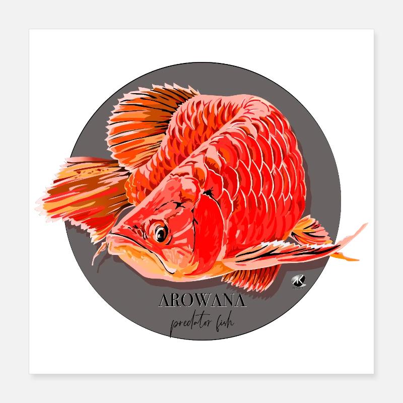 Illustration du poisson Arowana dans un cercle gris Poster 40 x 40 cm