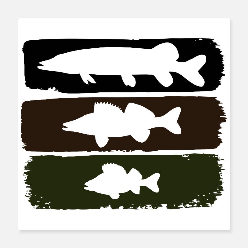 Hecht Zander Barsch Poster 40x40 cm