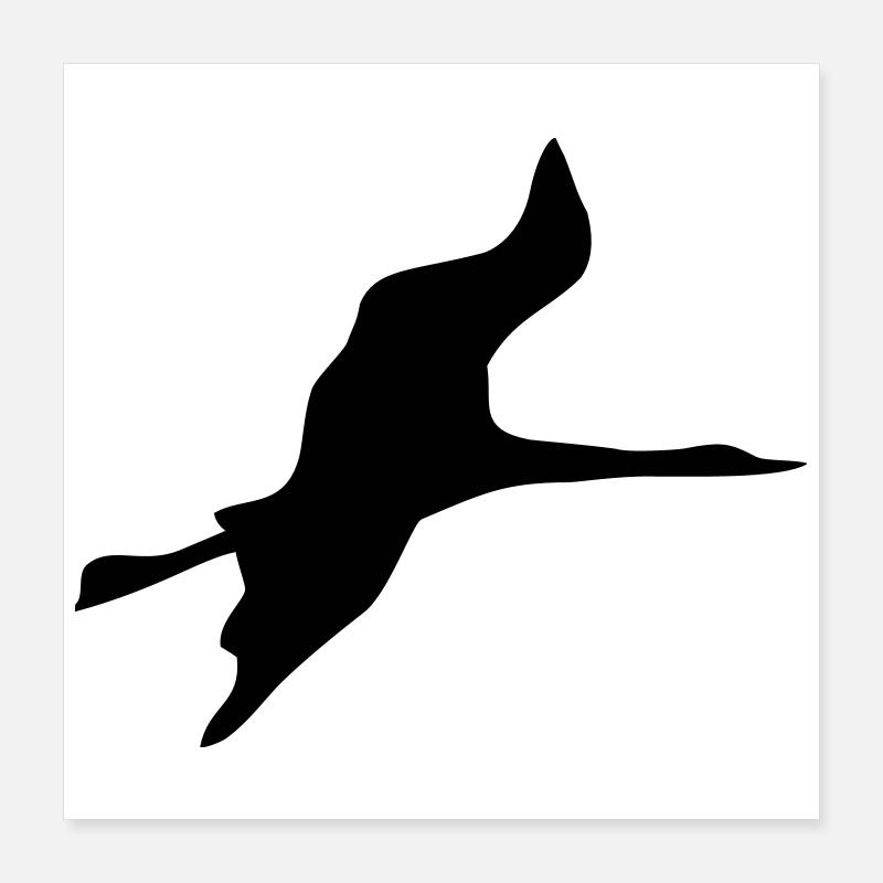 oiseau Poster 40 x 40 cm