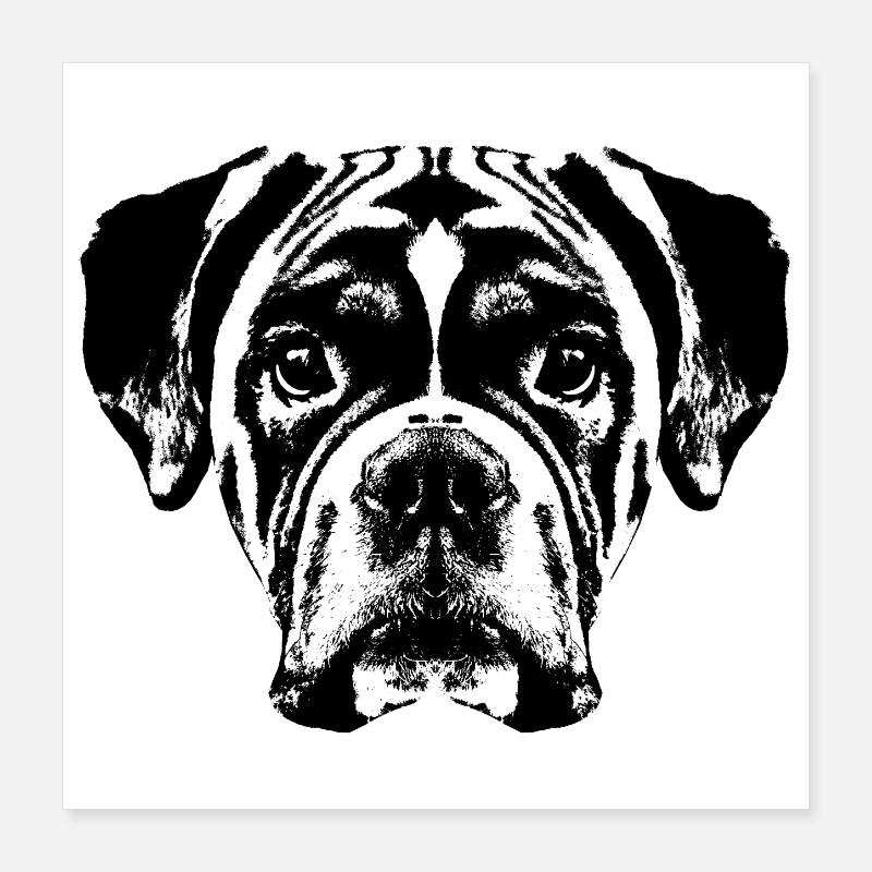 Boxer / Head / Dog / Graphic Poster 16" x 16" (40x40 cm)