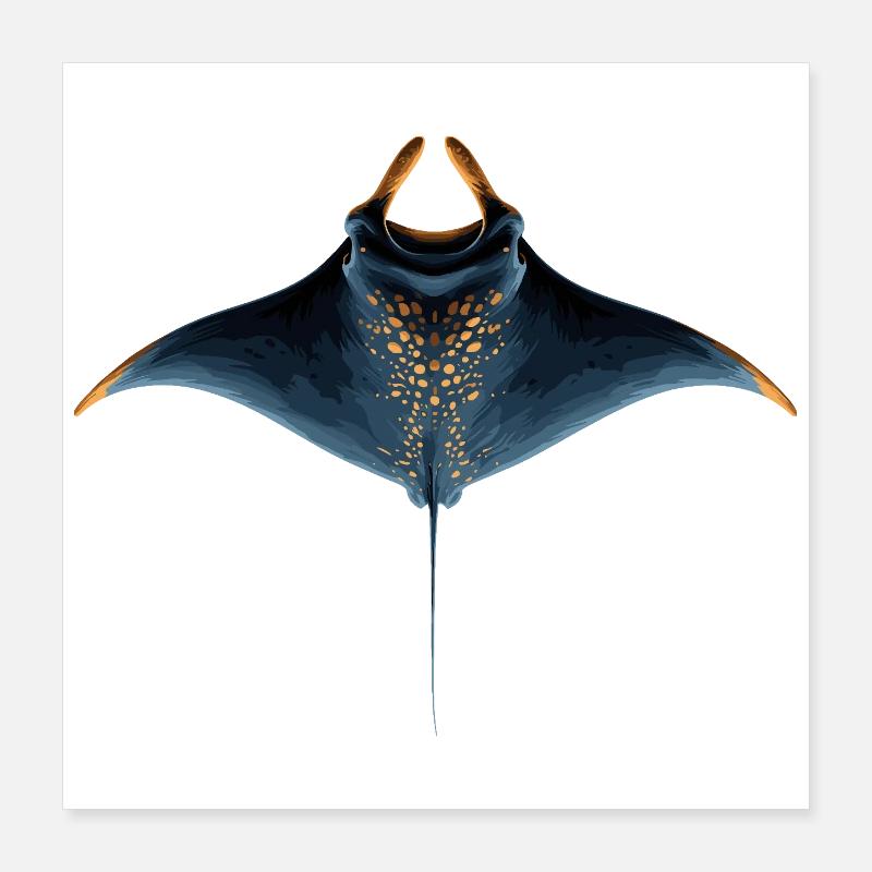Manta Ray, Devil Ray, Stingray, Diver Poster 16" x 16" (40x40 cm)