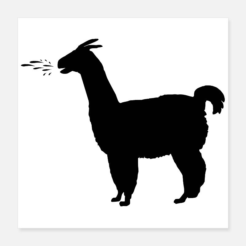 crache Lama avec esprit Poster 40 x 40 cm