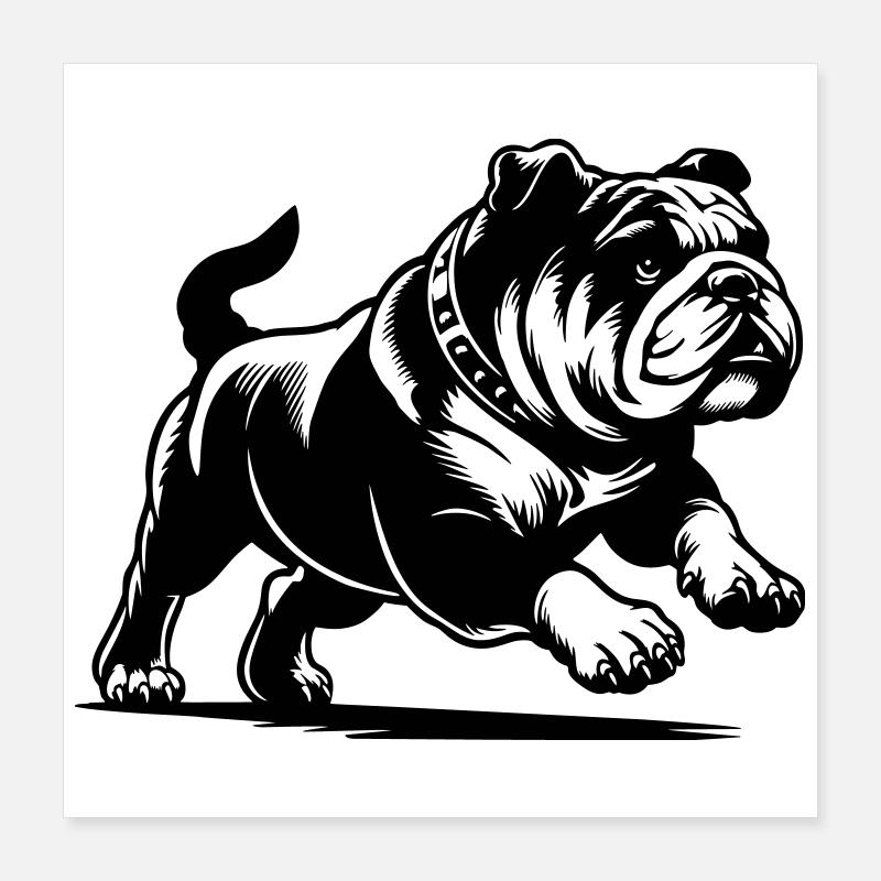 Bouledogue anglais Poster 40 x 40 cm