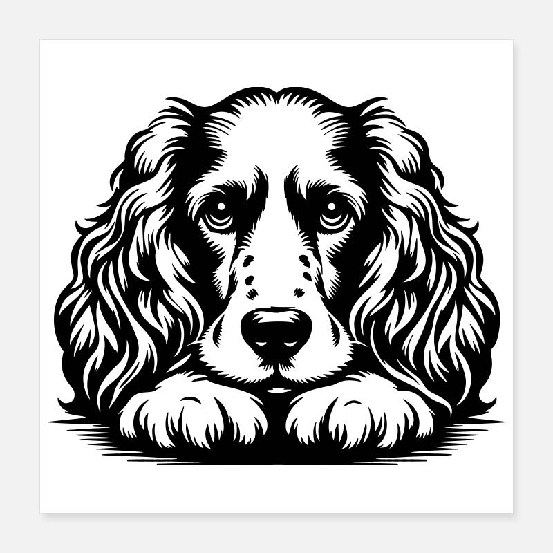 Cocker Spaniel Kopf mit Pfoten Poster 40x40 cm