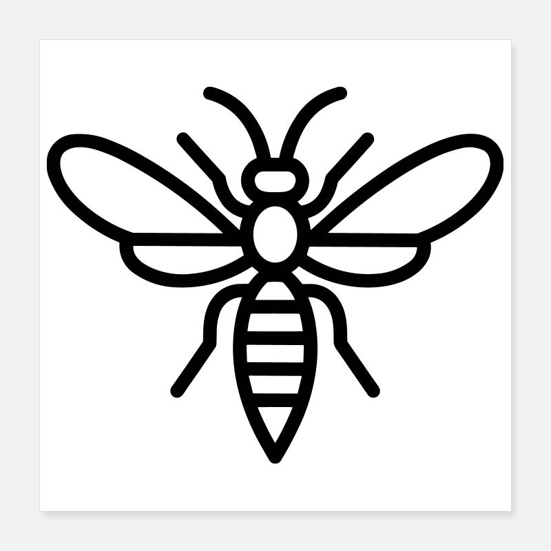 Wespe Poster 40x40 cm
