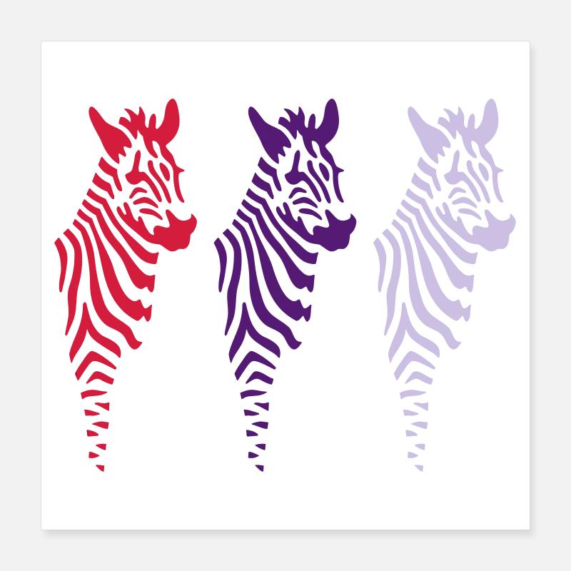 Three Zebras (b) Poster 40x40 cm