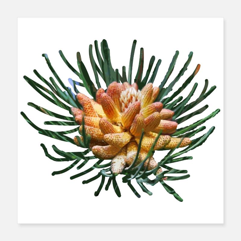 Creative fir branches Poster 16" x 16" (40x40 cm)