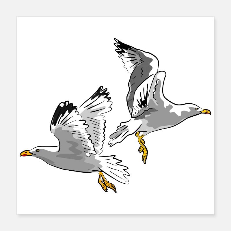 moewe vogel urlaub Poster 40x40 cm