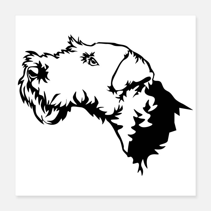 Welsh Terrier Poster 40x40 cm