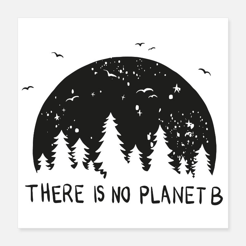 Il n’y a pas de planète B ! Protection du climat, environnement, terre Poster 40 x 40 cm
