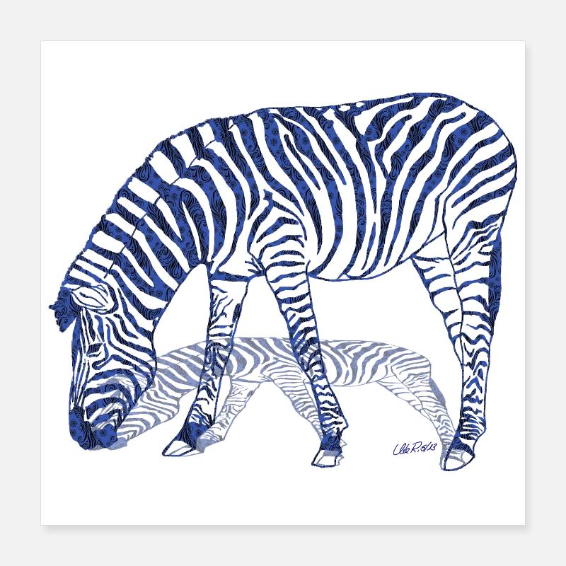 Zebra mit Zebraschatten Poster 40x40 cm