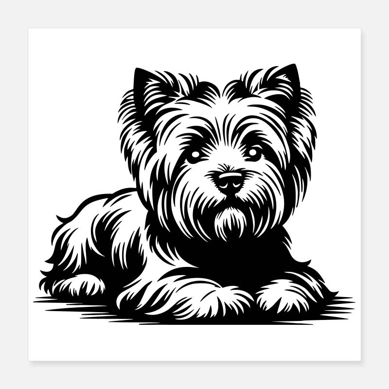 West Highland Terrier Poster 40x40 cm