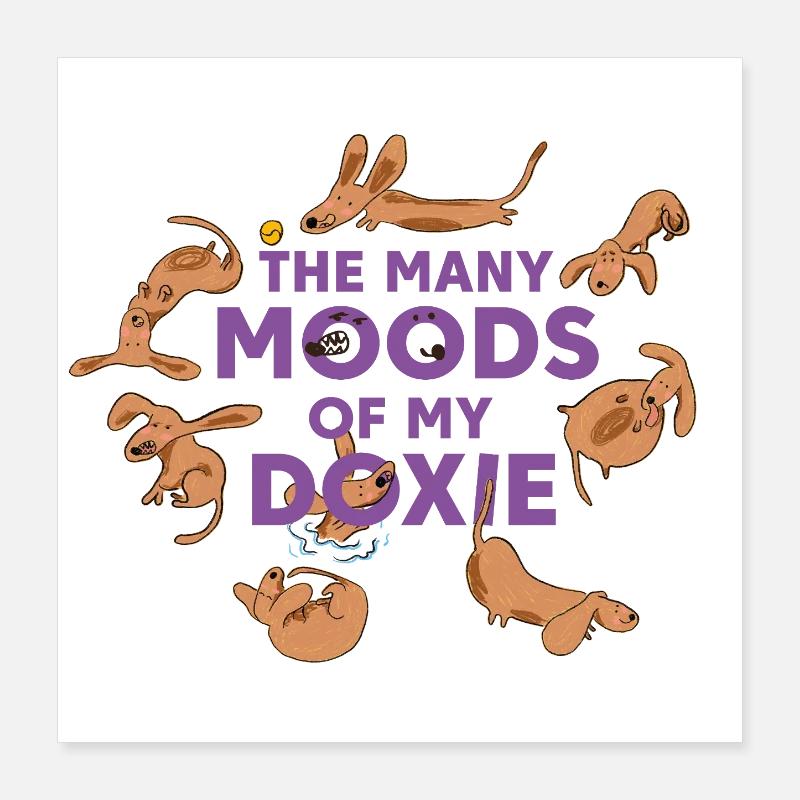 Dackel-Launen – Jeder Tag ein Abenteuer Poster 40x40 cm