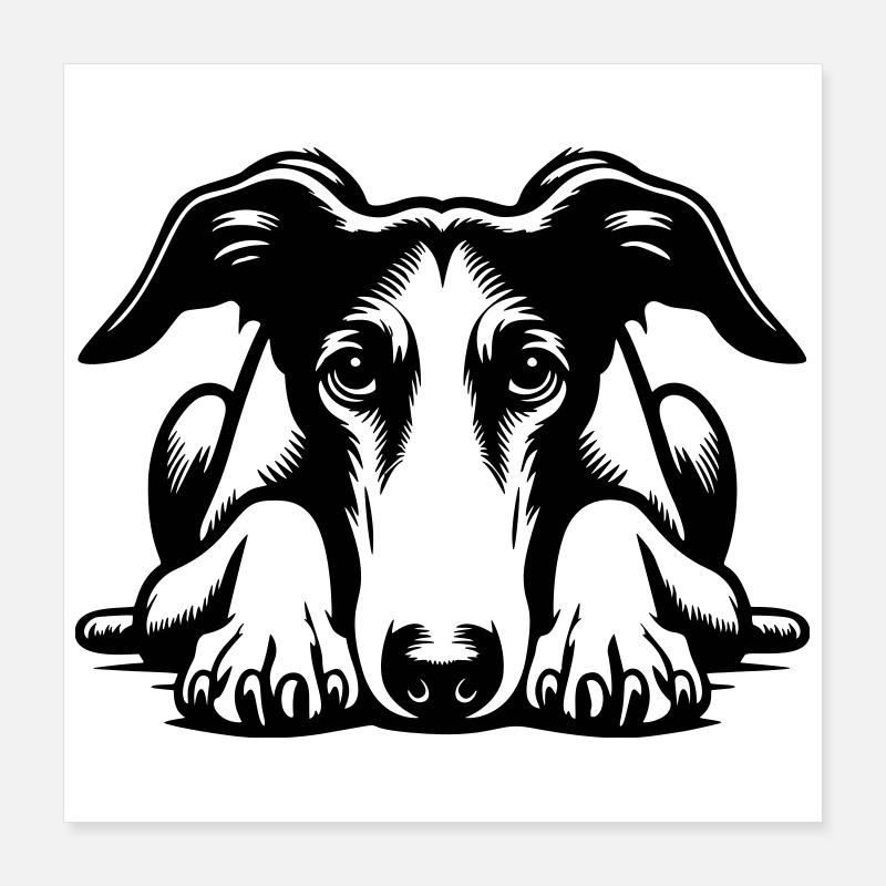 Galgo Kopf mit Pfoten Poster 40x40 cm