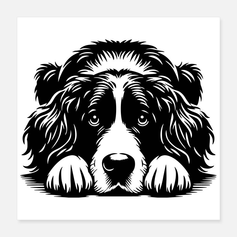 Münsterländer Poster 40x40 cm