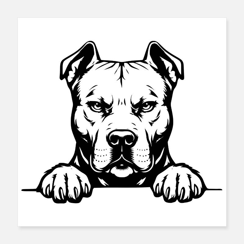 Pitbull Kopf mit Pfoten Poster 40x40 cm