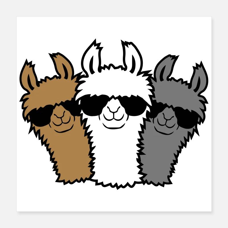 3 amis lama Poster 40 x 40 cm