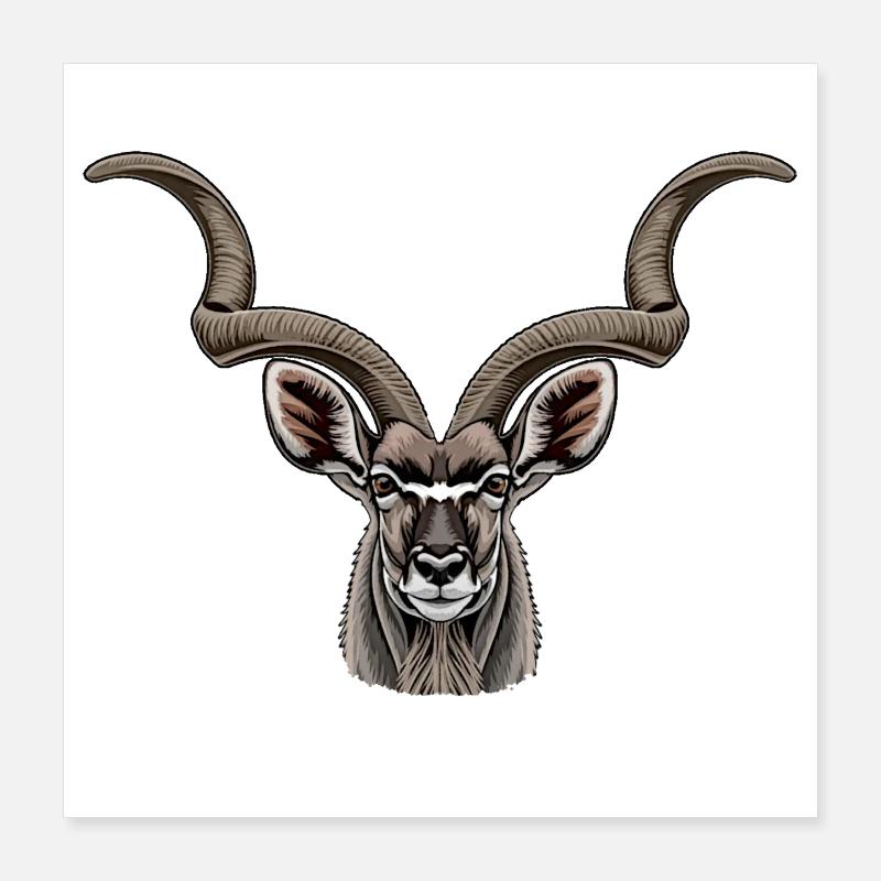 Kudu antelope Poster 16" x 16" (40x40 cm)