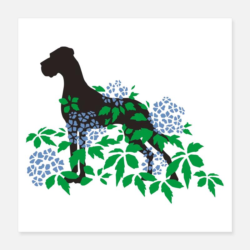Great Dane and hydrangeas Poster 16" x 16" (40x40 cm)