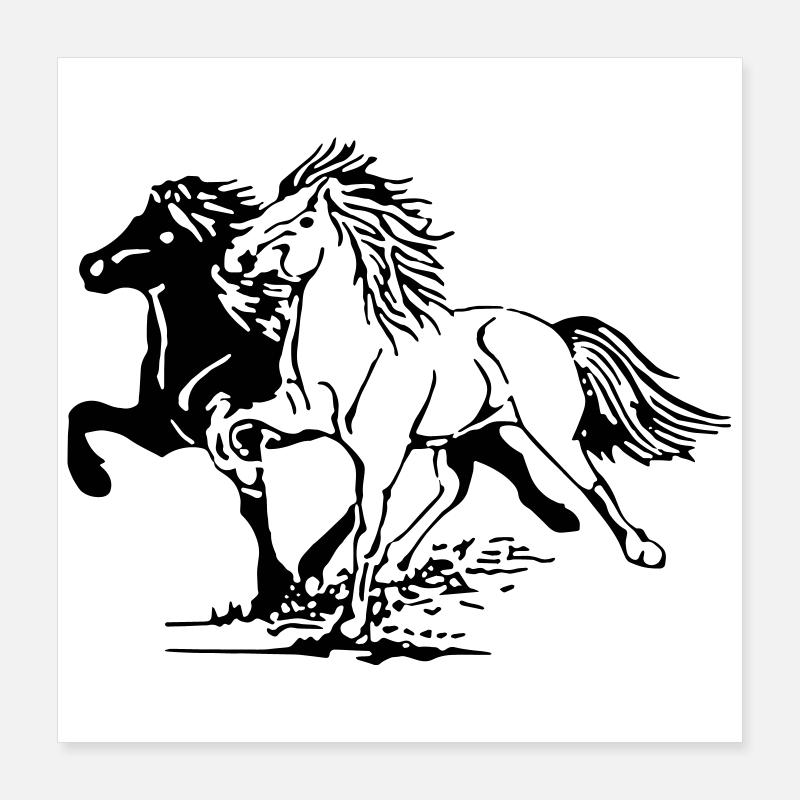 Chevaux sauvages Poster 40 x 40 cm