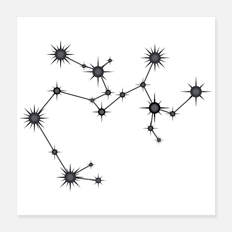 Sagittarius Star Constellation Zodiac Black & Gray Poster 16" x 16" (40x40 cm)