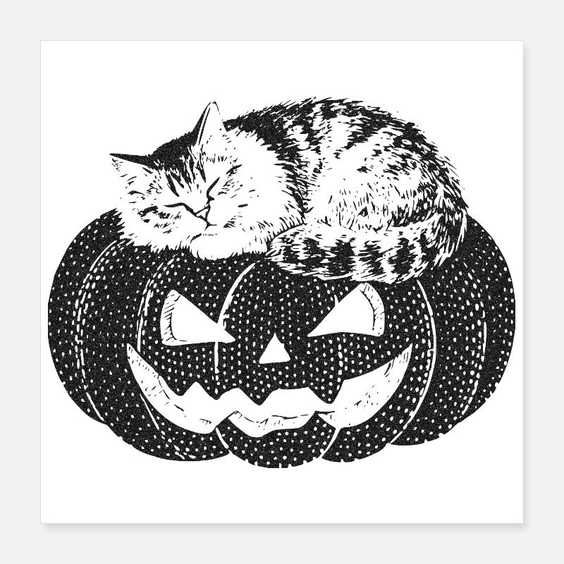 Cat sleeping on pumpkin Poster 16" x 16" (40x40 cm)