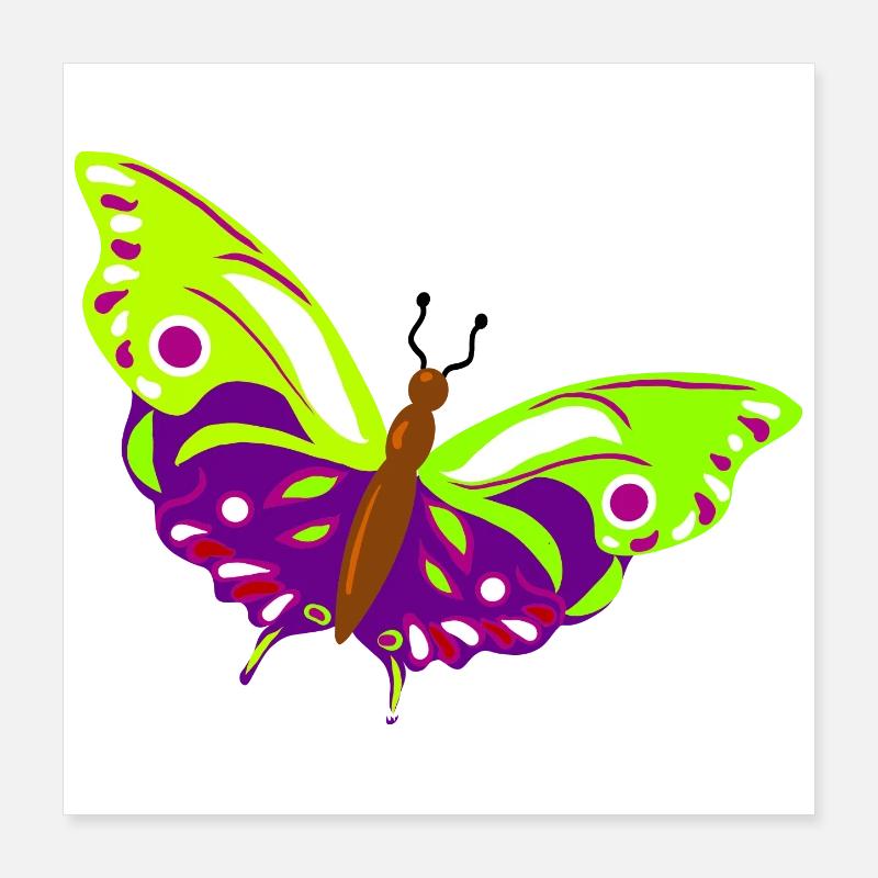 Illustration de papillon multicolore Poster 40 x 40 cm