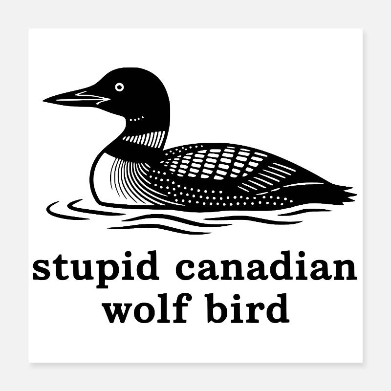 Stupide oiseau loup canadien Poster 40 x 40 cm
