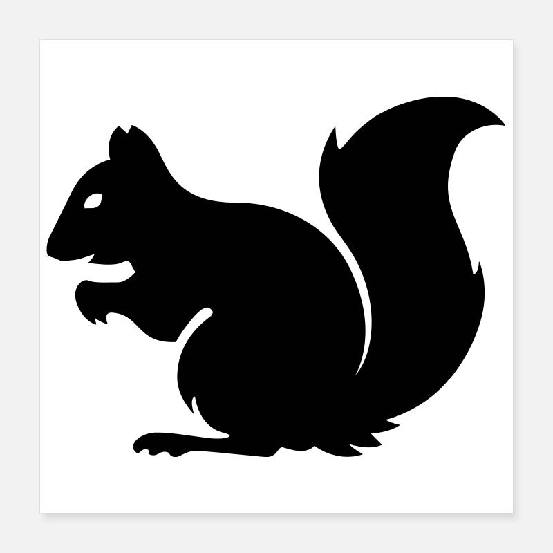 Eichhörnchen Poster 40x40 cm