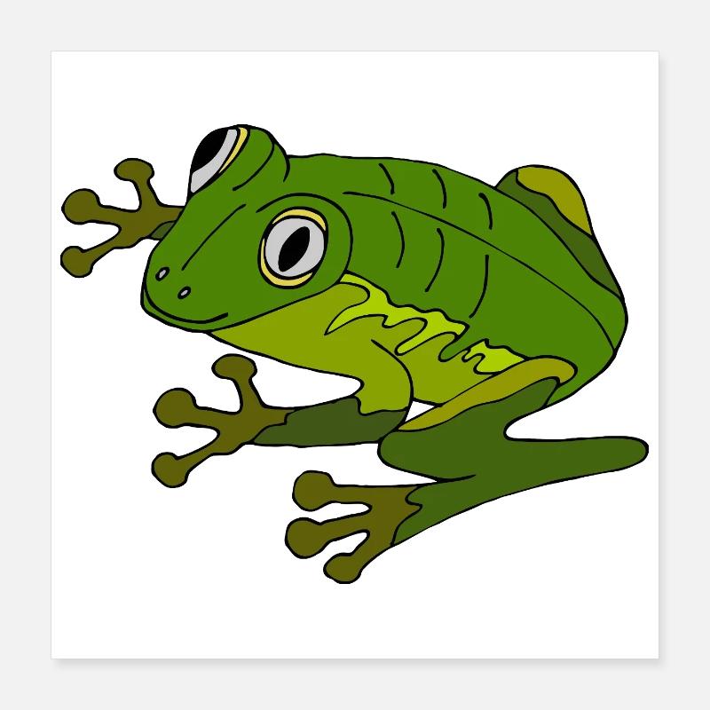 Frosch Poster 40x40 cm