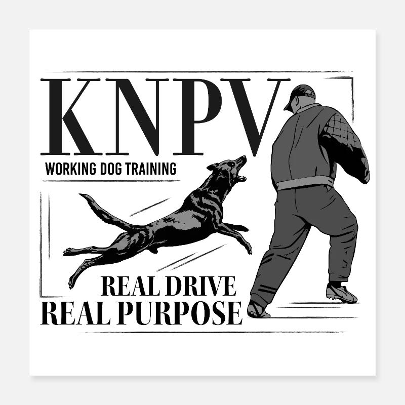 Formation de chiens de travail KNPV Poster 40 x 40 cm