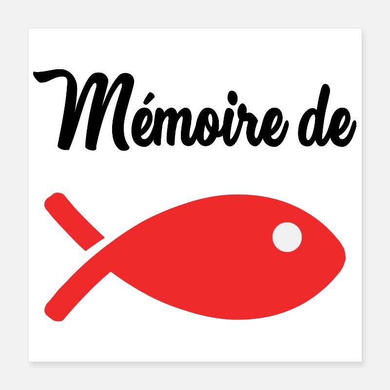 GOLDFISH MEMORY Poster 16" x 16" (40x40 cm)