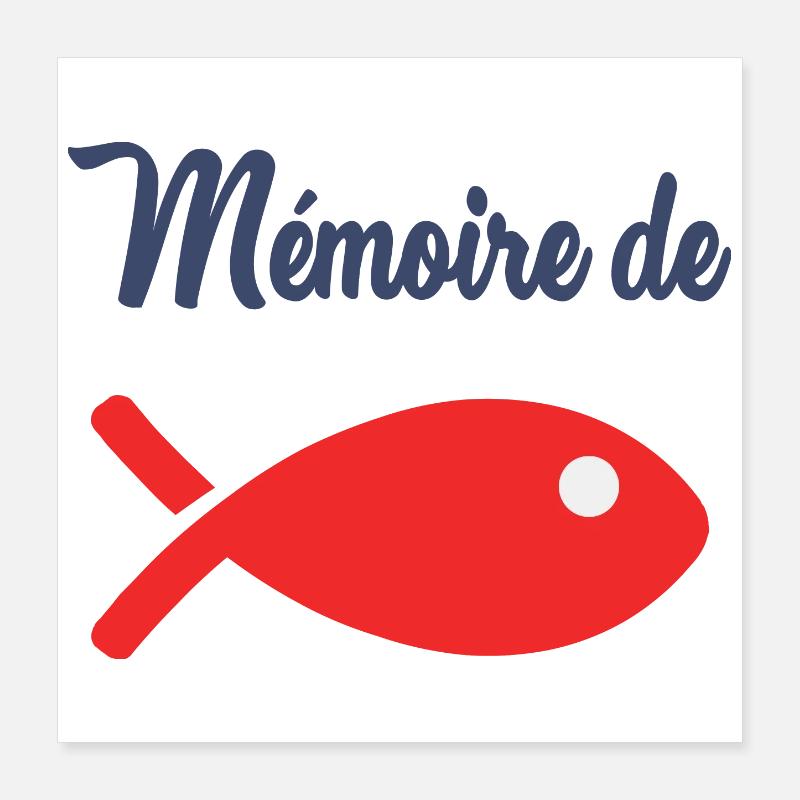 GOLDFISH MEMORY Poster 16" x 16" (40x40 cm)