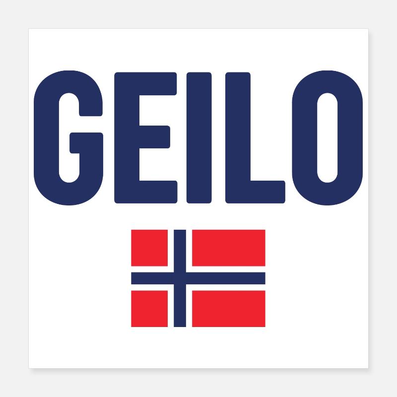 Gelo Conception du drapeau norvégien Poster 40 x 40 cm